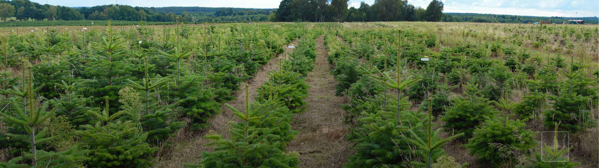  Troska o środowisko. Naturalnie